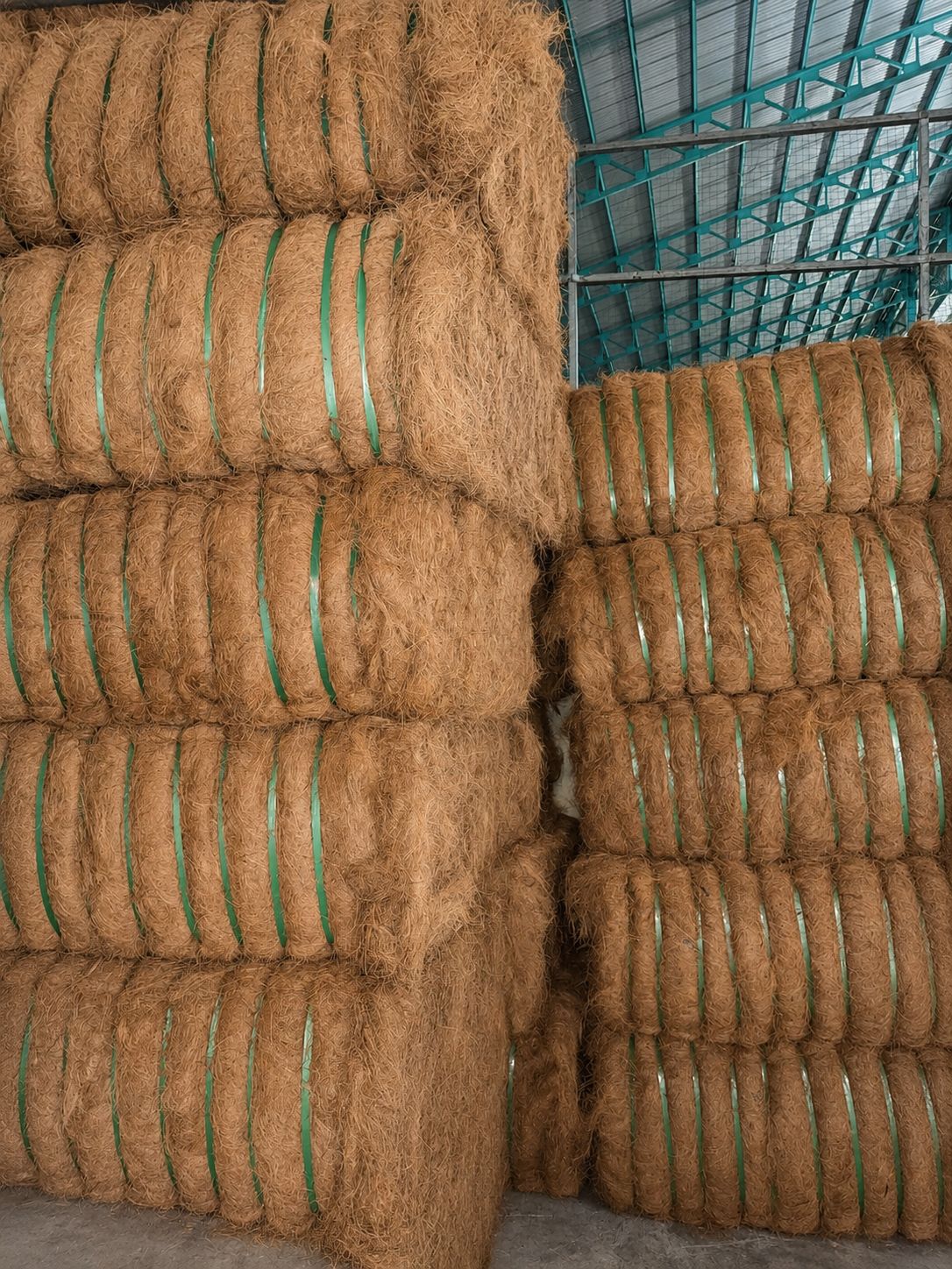 Compressed cocofiber bales secured with green straps