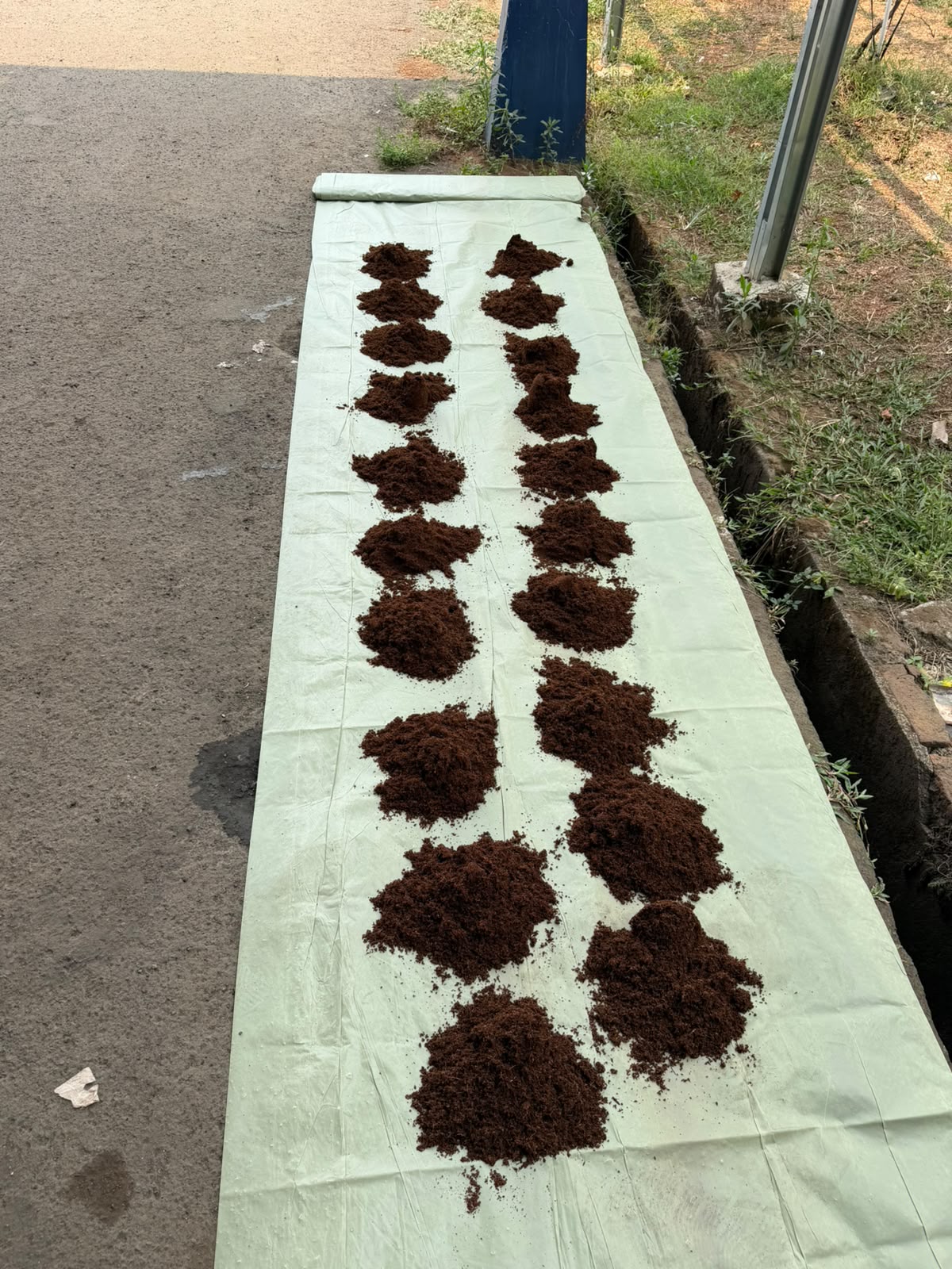 Cocopeat samples prepared for expansion testing